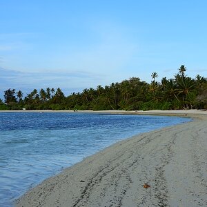 DSC_5492 (Copiar).JPG
