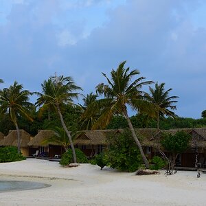 DSC_6093 (Copiar).JPG