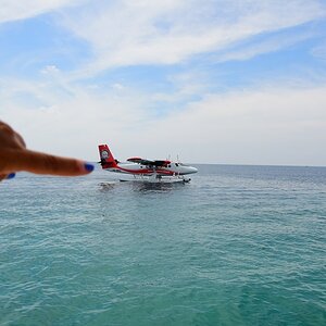 DSC_6160 (Copiar).JPG