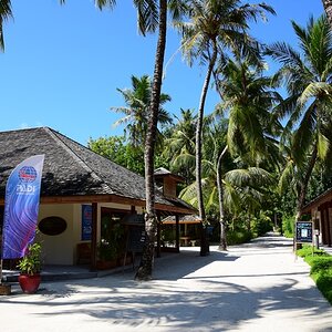 DSC_6268 (Copiar).JPG