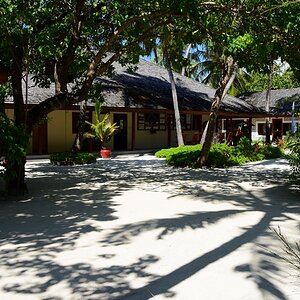 DSC_6283 (Copiar).JPG