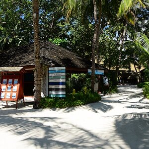 DSC_6285 (Copiar).JPG
