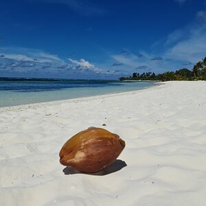 20211024_132917 (Copiar).jpg