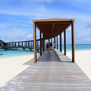 DSC_5766 (Copiar).JPG