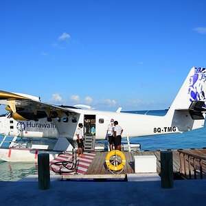 DSC_6344 (Cópia).JPG