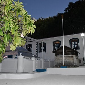 DSC_6411 (Cópia).JPG