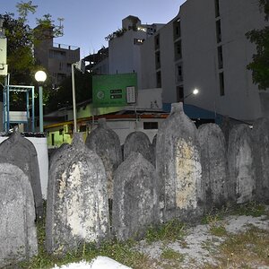 DSC_6415 (Cópia).JPG