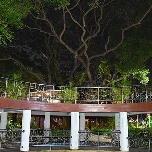 DSC_6438 (Cópia).JPG