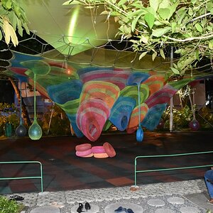 DSC_6442 (Cópia).JPG
