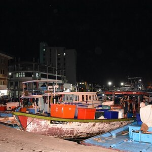 DSC_6479 (Cópia).JPG