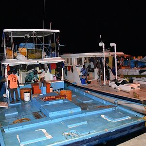 DSC_6481 (Cópia).JPG