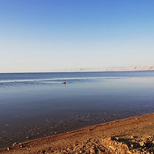 20 Dead Sea.jpg