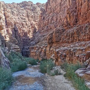 28 Wadi.jpg