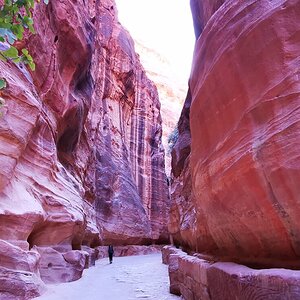 51 Petra.jpg