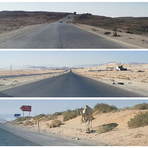 57 Caminho.jpg