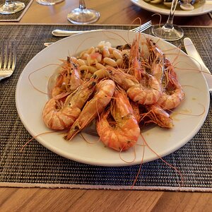 20210617_203320 (Copiar).jpg