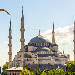 Istambul - Julho 2022 (135).jpg