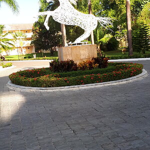 20220829_074003.jpg