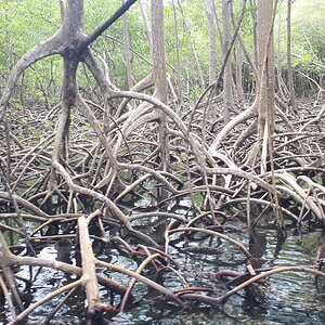 20220830_111448.jpg