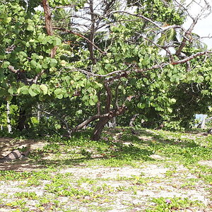 20220901_091447.jpg