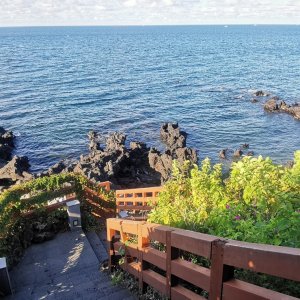 34 Jeju.jpg