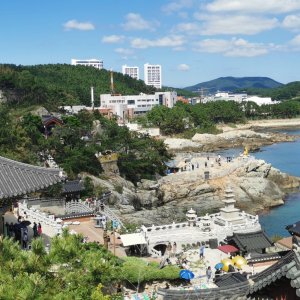 67 Busan.jpg