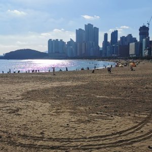 71 Busan.jpg