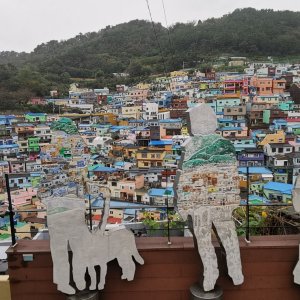 101 Busan.jpg