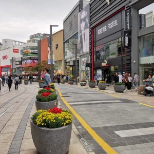 114 Busan.jpg