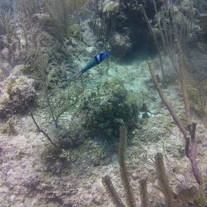 9a63dc08-f0ec-4afb-87fb-c0f4795d98a8.jpg