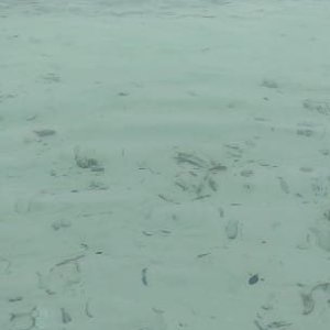 682540d0-7238-44f9-8718-5570016b7e8c.jpg