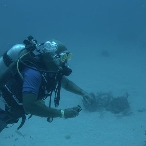 c76b8850-14ce-4851-a5ac-81d0d3a674e4.jpg