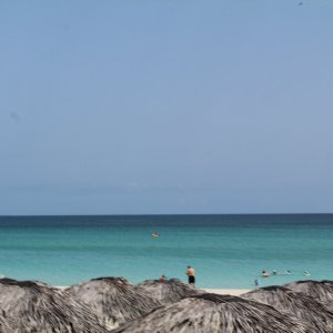 IMG_8835.JPG