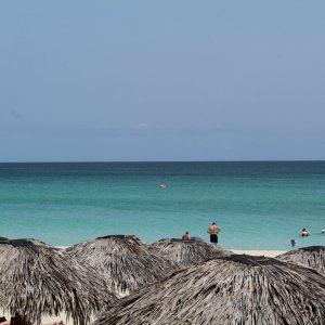 IMG_8836.JPG