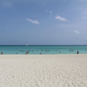 IMG_8841.JPG