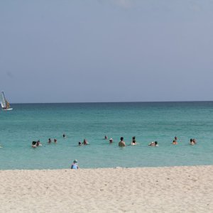 IMG_8842.JPG