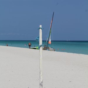 IMG_8843.JPG