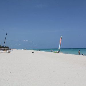 IMG_8844.JPG