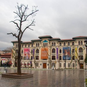 IMG_8502032325.jpg