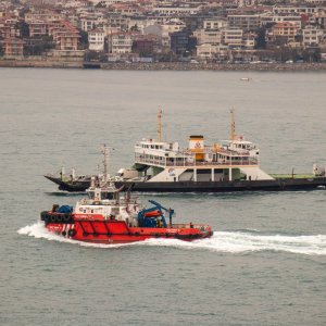 IMG_8731032325.jpg
