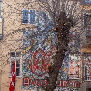 IMG_9017032325.jpg