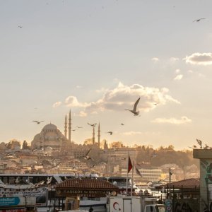 IMG_9031032325.jpg