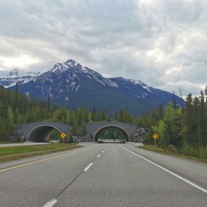 19 Rockies.jpg