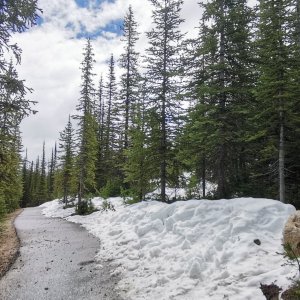 44 Rockies.jpg