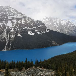 45 Rockies.jpg