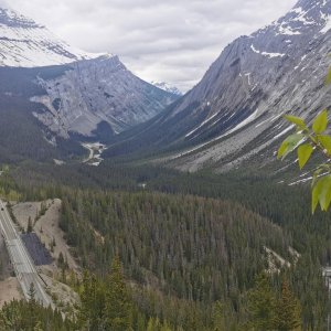 50 Rockies.jpg
