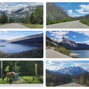 67 Rockies.jpg