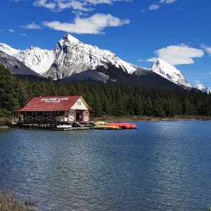 68 Rockies.jpg