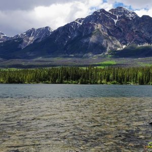81 Rockies.jpg