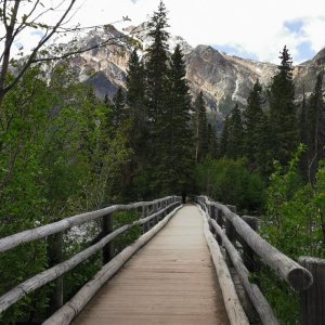 82 Rockies.jpg